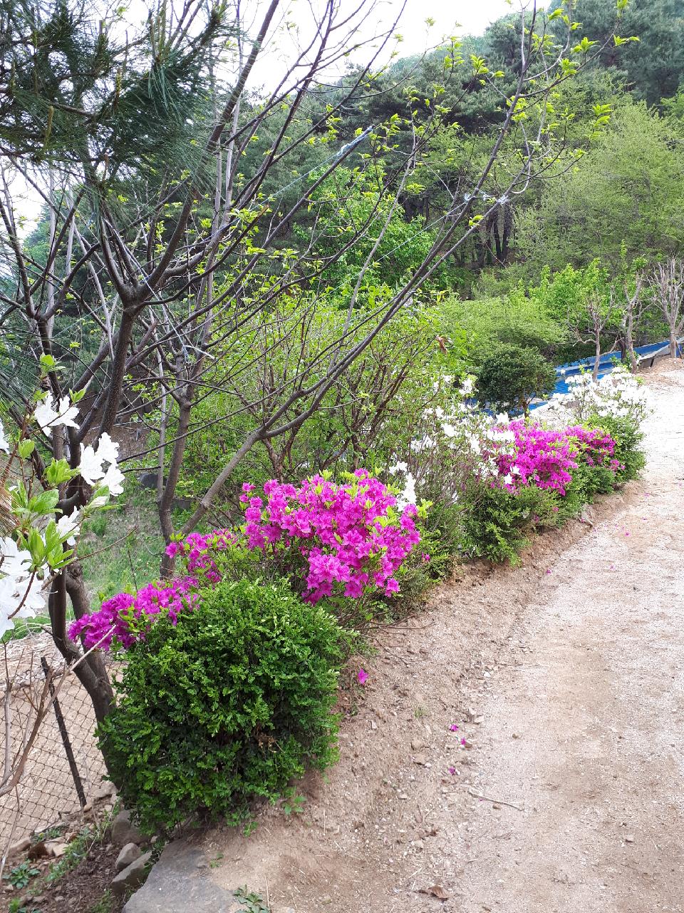 Resized_20180505_154651_4411.jpeg