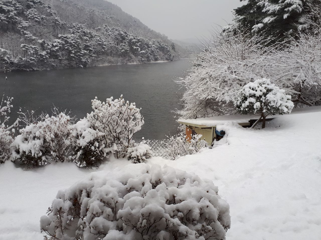 Resized_20181124_110540_9350.jpeg