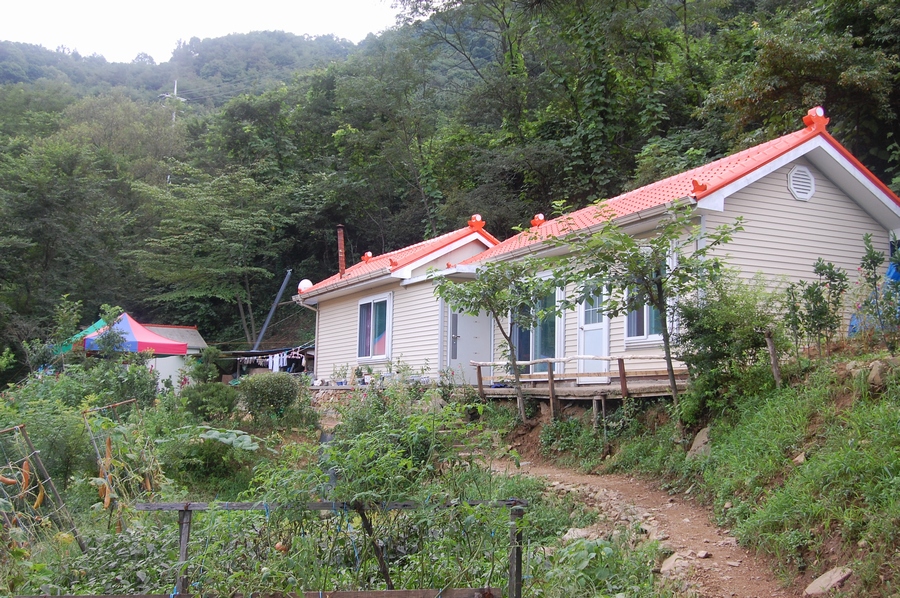 2007-08-19염소사진 022-2.jpg