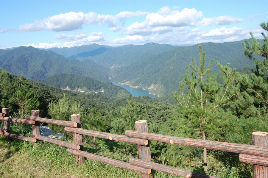 DSC_0059-2.jpg