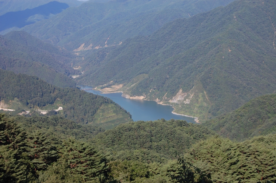 DSC_0050-2.jpg